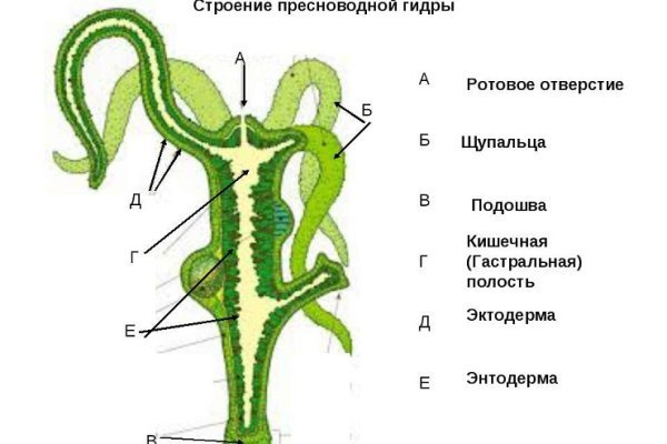 Омг онлайн